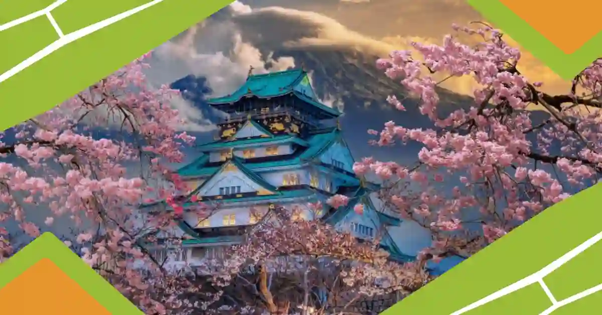 Tokyo Cherry Blossoms