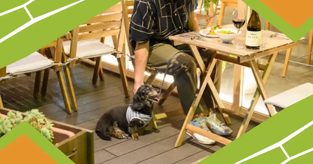 Dog‑Friendly Terrace Restaurants in Osaka