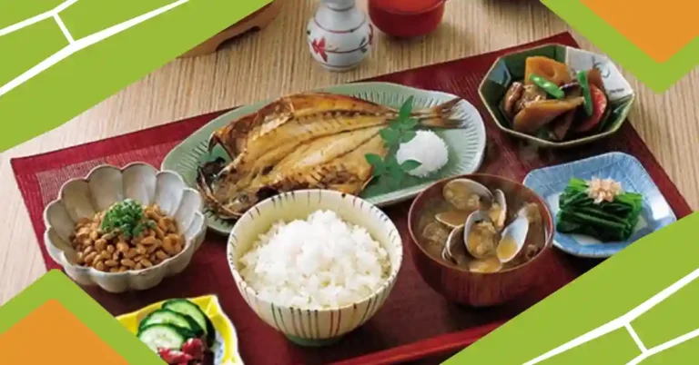 Washoku Japanese Cuisine